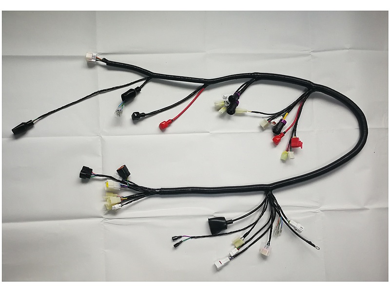 200A TV main wire harness
